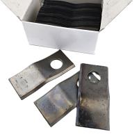 photo_5307964423031351827_y