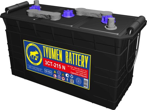 3T-215N_TYUMENBATTERY_000065_(Asia)
