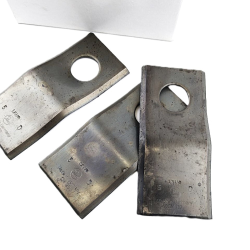 photo_5307964423031351826_y