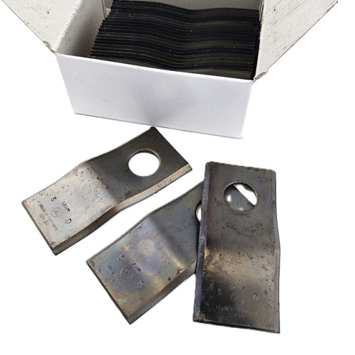 photo_5307964423031351827_y